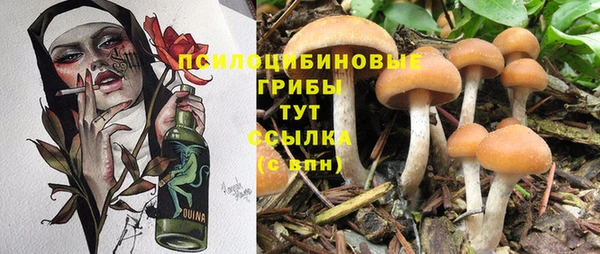 метадон Абаза