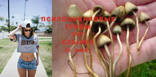 метадон Абаза