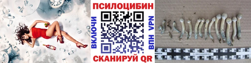 OMG tor Балаково Галлюциногенные грибы Cubensis